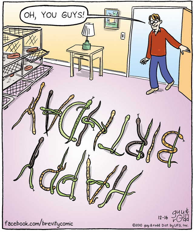 brevity